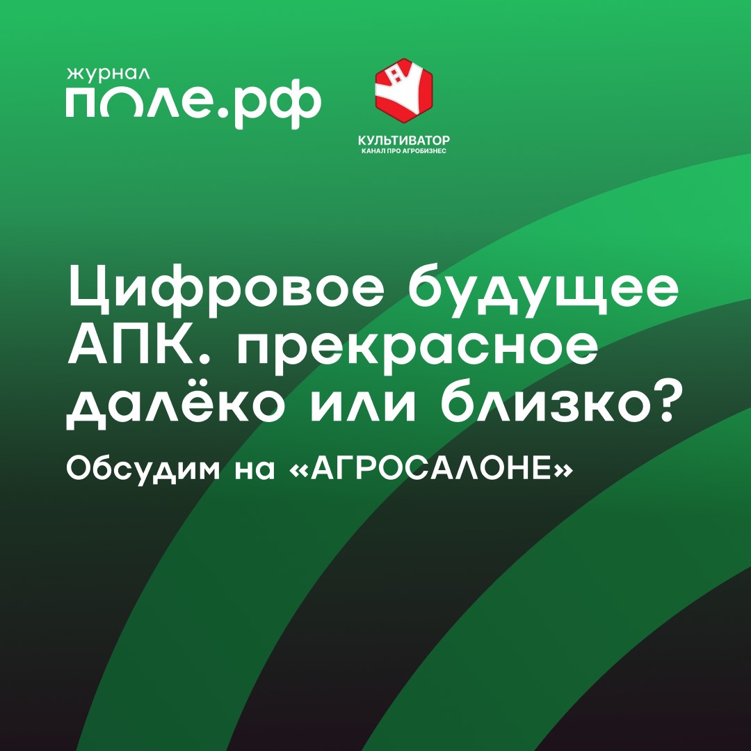 Поле.рф