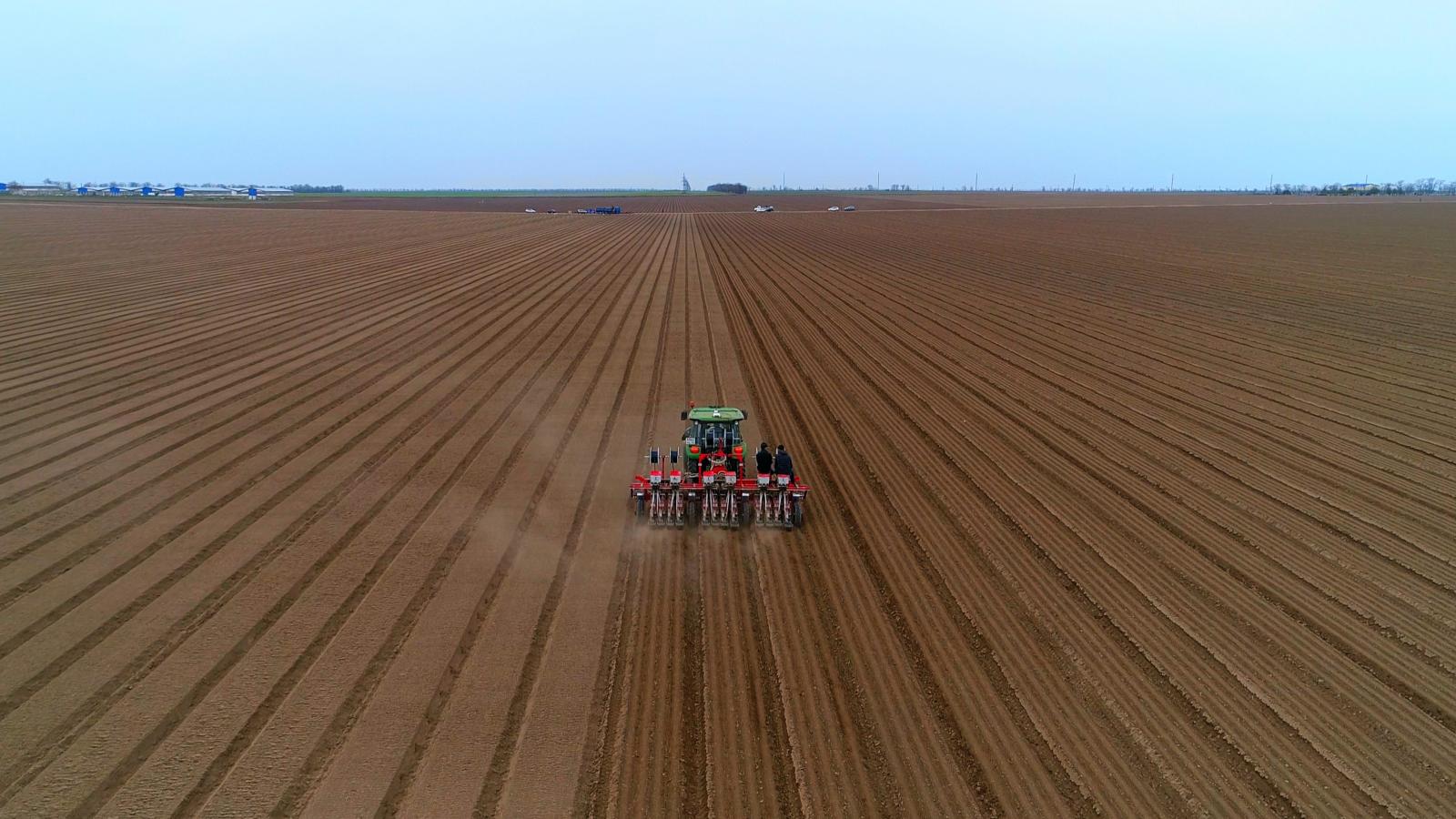 калинаагро