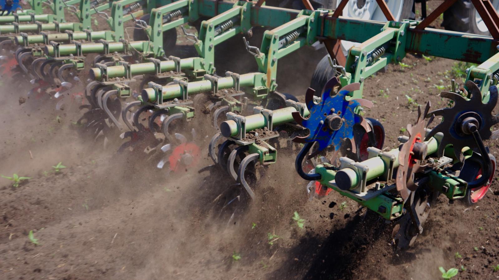 калинаагро