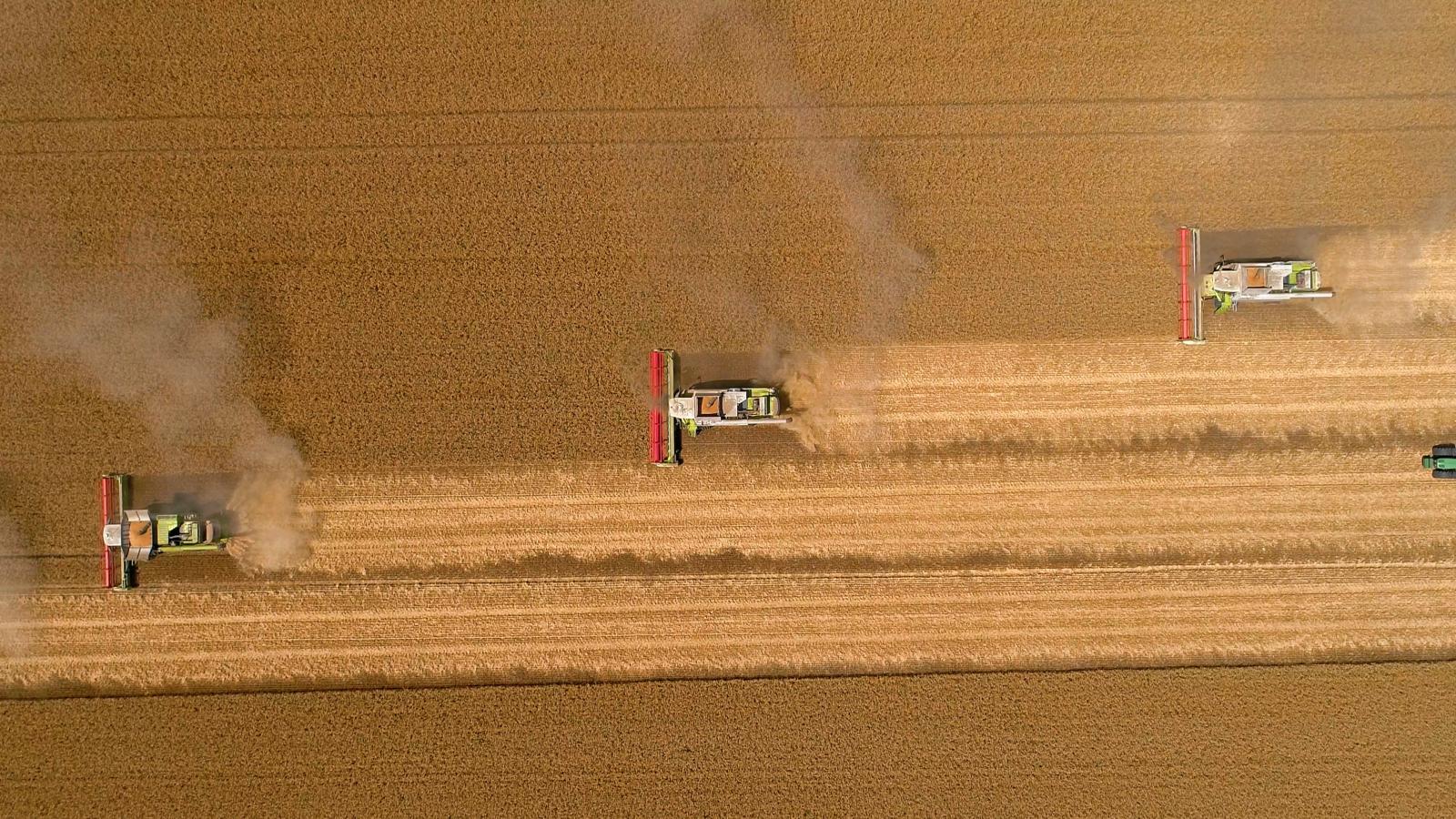 калинаагро