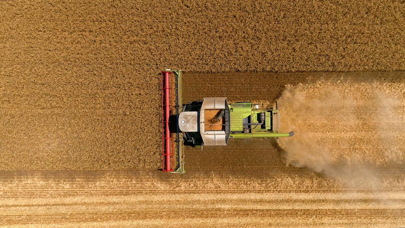 калинаагро